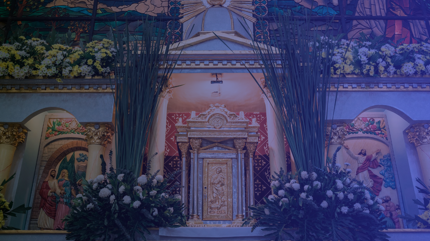 Diocese of Novaliches
